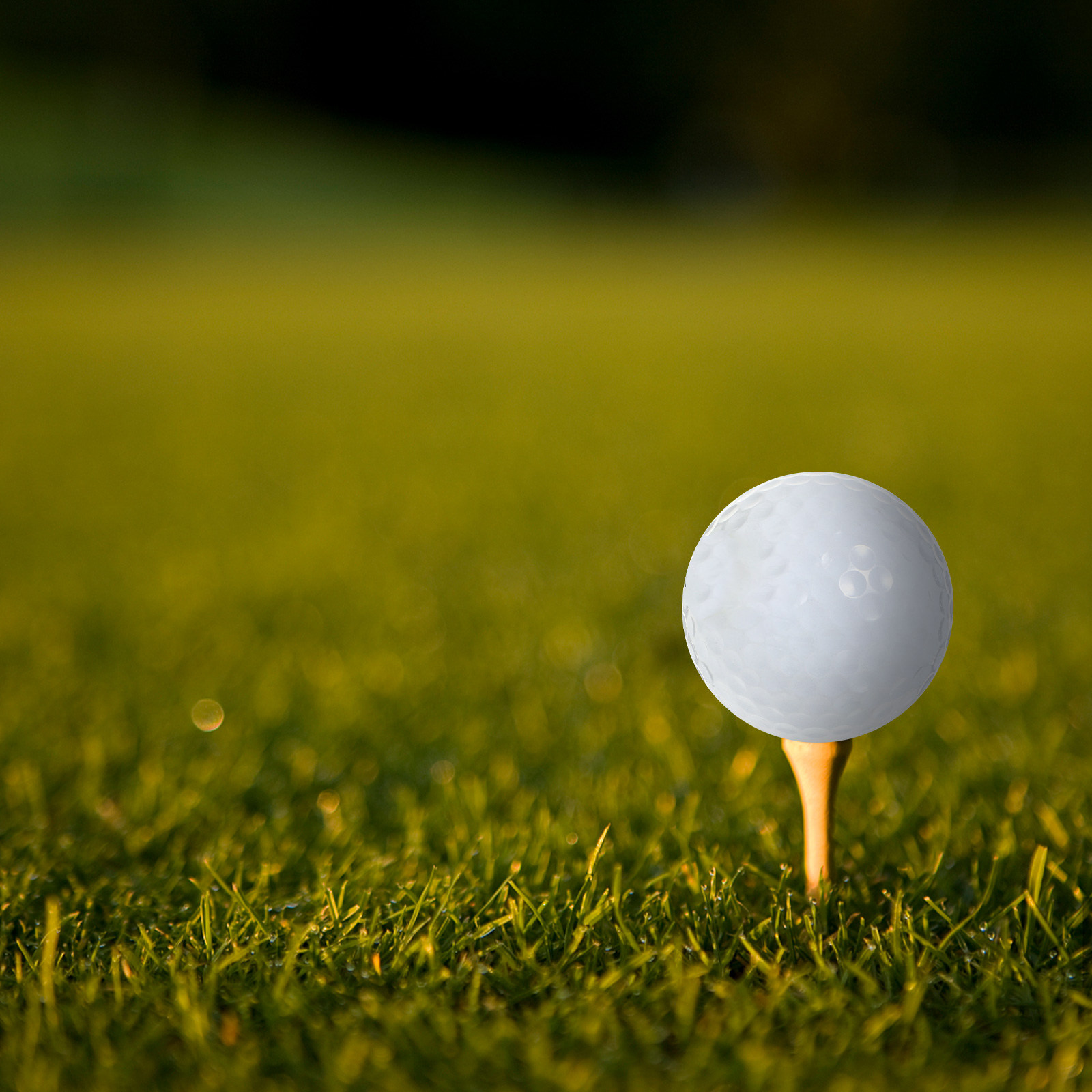 Peralatan Bola Golf Latihan Da - Golf Equipment For Beginners ulasan dan harga